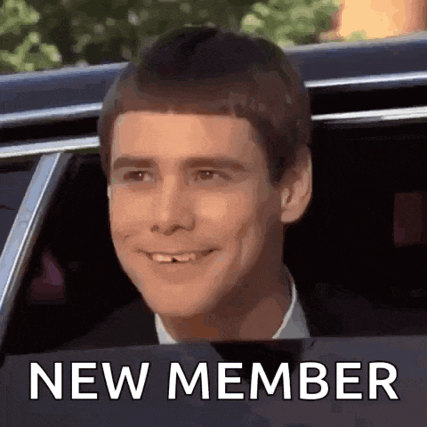 Dumb And Dumber Dumb And Dumber Gif GIF