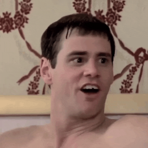 Dumb And Dumber Dumb And Dumber Gif GIF