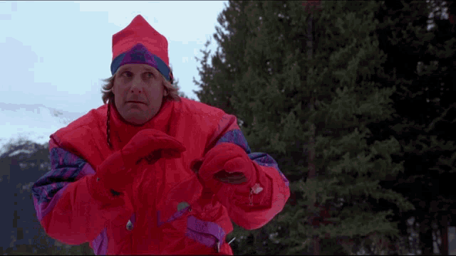 Dumb And Dumber Harry GIF