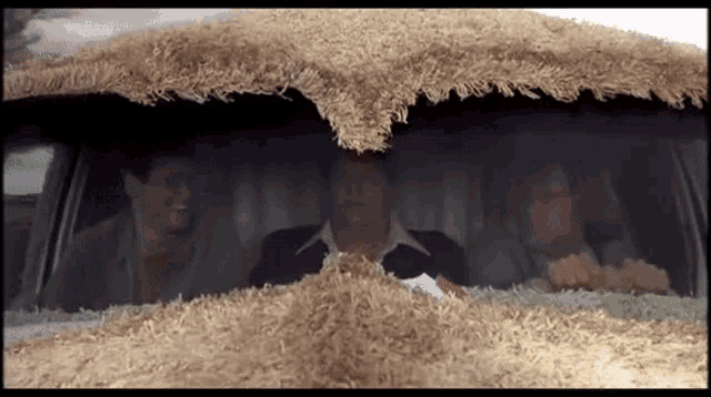 Dumb And GIF