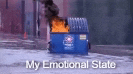 Dumpster Fire Emotional Meme