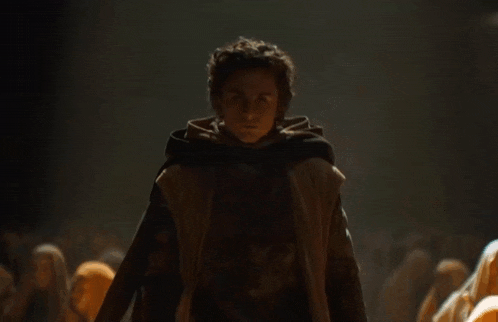 Dune Dune Part 2 GIF