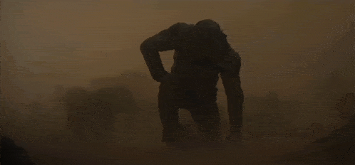 Dune Dune Part 2 GIF