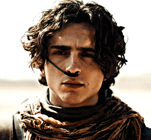 Dune Dune Part 2 GIF
