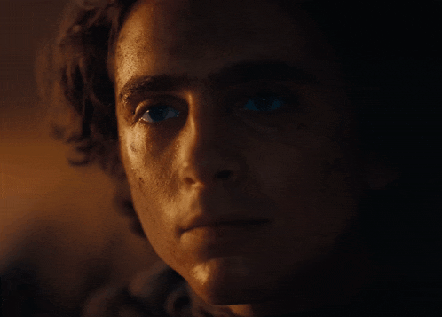 Dune Dune Part 2 GIF