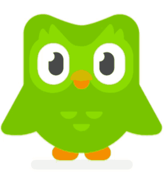 Duo Duolingo Meme