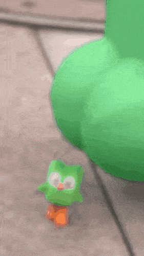 Duolingo Duo Lingo GIF