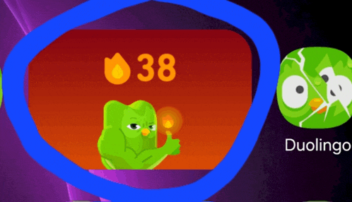 Duolingo Meme