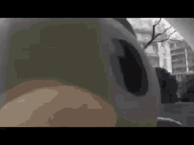 Duolingo GIF
