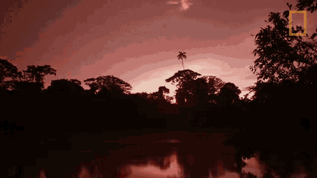 Dusk Primal Survivor GIF