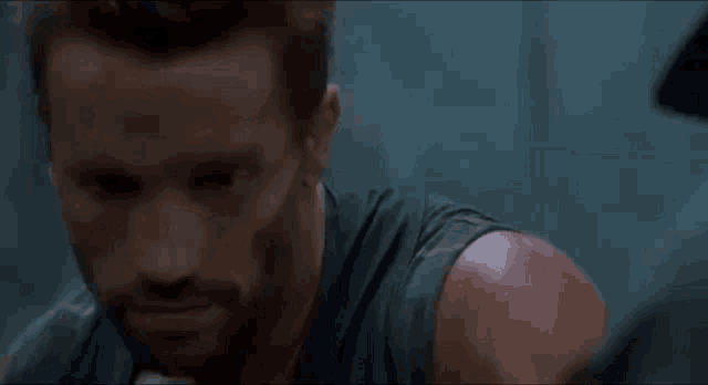 Dutch Predator GIF