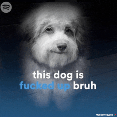 Dvb Meme