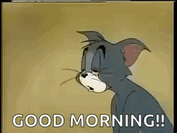 Dvfedvr GIF