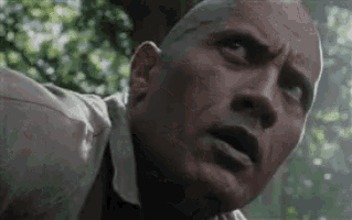 Dwayne Johnson Raised Eyebrow GIF