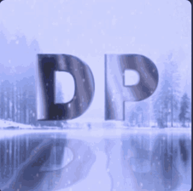 Dynamic Proyects Meme