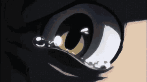 E Gon Olmak GIF. This 498 x 279 animated GIF is part of our hunter x hunter gon collection. Created by dmehmetbila. View the original animation, share it…