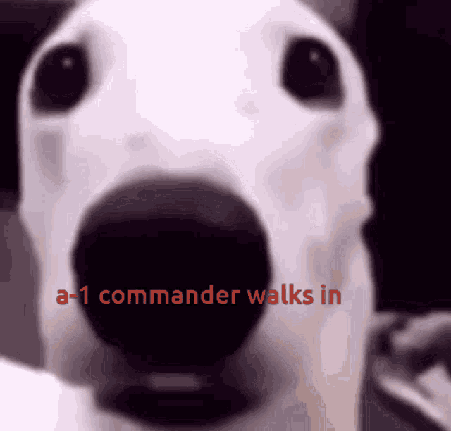 E11 Mtf GIF