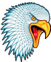 Eagle American Eagle Sticker