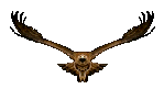Eagle Bird Sticker