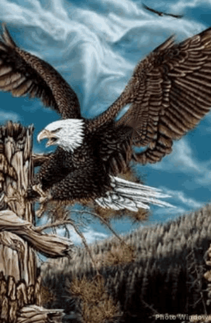 Eagle Loop GIF
