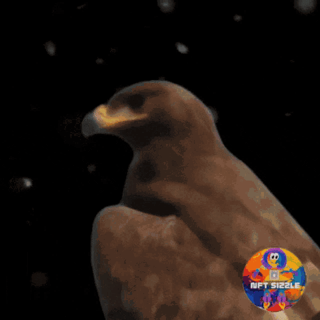 Eagle Nft Sizzle GIF