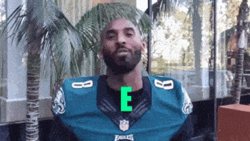 Eagles Philadelphia Eagles GIF