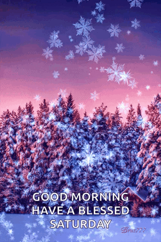 Early Morn Snow Winter GIF