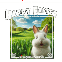 Easter Bunny Sticker