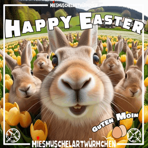 Easter Bunny GIF. This 498 x 498 animated GIF is part of our lustige montags collection. Related themes include bunny, easter, happy easter. Created by…