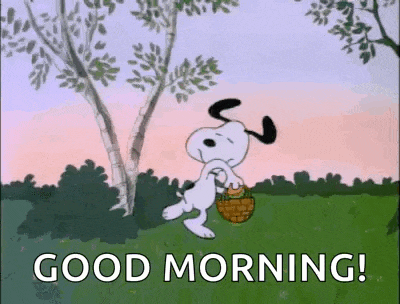 Easter Hunt GIF