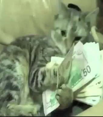 Eating Money GIF