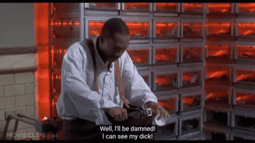 Eddie Murphy The Nutty Professer GIF