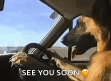 Eddy Hoho GIF