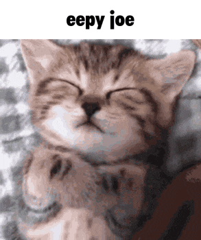 Eepy Cat GIF