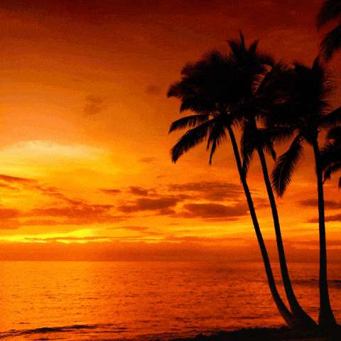 Effective Effective Vibes GIF