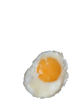 Egg Fried Sticker