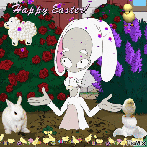 Eggs Chicken GIF