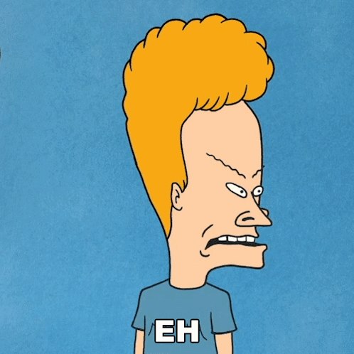 Eh I Don'T Know Why We Bother Beavis GIF
