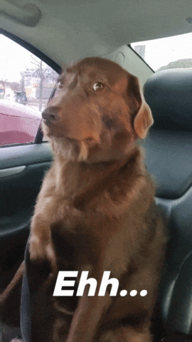 Ehh Eeeh GIF