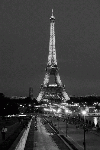 Eiffel Tower Paris GIF. This 331 x 498 animated GIF is part of our torre eiffel collection. Created by DDF21. View the original animation, share it, or…