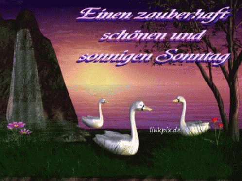 Einen Zauberhaft Schönen Und Sonnigen Sonntag GIF