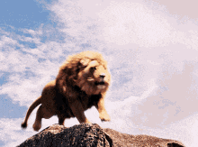 El Sallama GIF