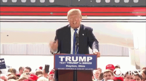 El Susto De Donald Trump GIF. This 498 x 278 animated GIF is part of our bernie sanders socialism collection. Related themes include bernie sanders, scared…