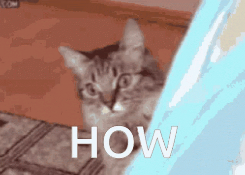 Elcen Edel GIF