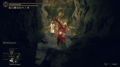 Elden Ring Chase The Bro GIF