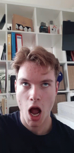 Electronic Visions Luc GIF