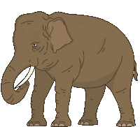 Elephant Asian Elephant Sticker