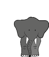 Elephant Elephants Sticker