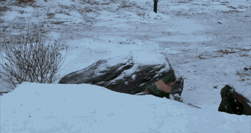 Elf Snowball GIF
