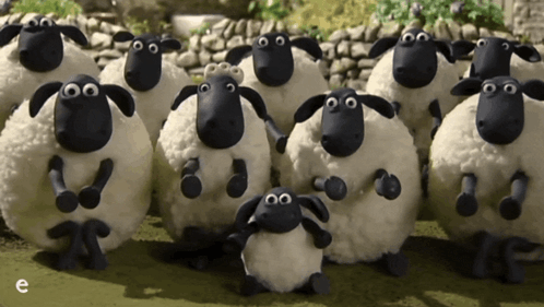 Eli Aplauso GIF